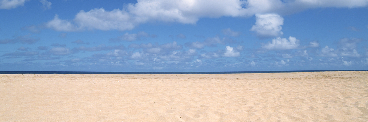 京都で人気のカーリース15選｜料金・サービス・口コミで比較